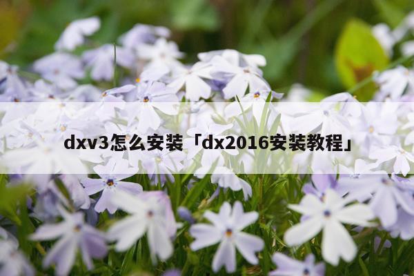 dxv3怎么安装「dx2016安装教程」