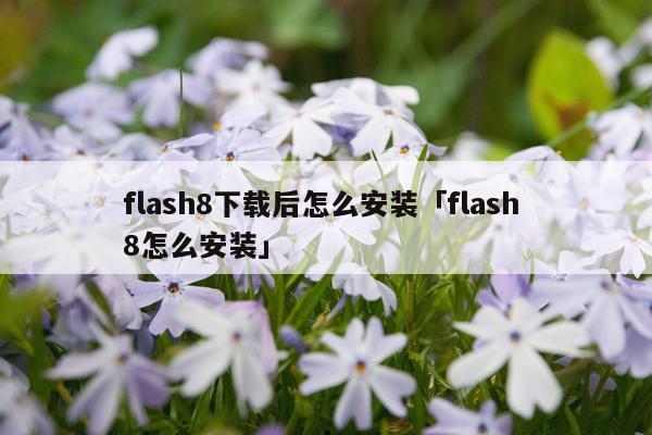 flash8下载后怎么安装「flash 8怎么安装」