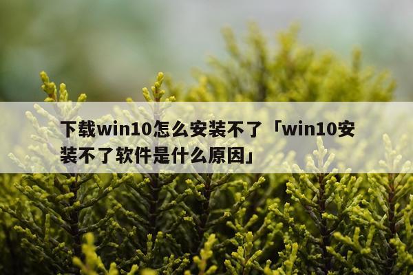 下载win10怎么安装不了「win10安装不了软件是什么原因」