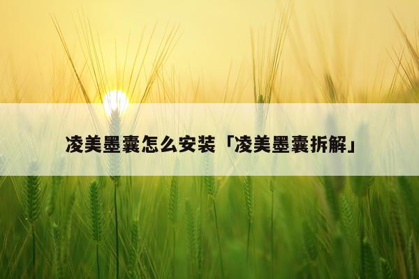 凌美墨囊怎么安装「凌美墨囊拆解」