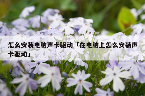 怎么安装电脑声卡驱动「在电脑上怎么安装声卡驱动」