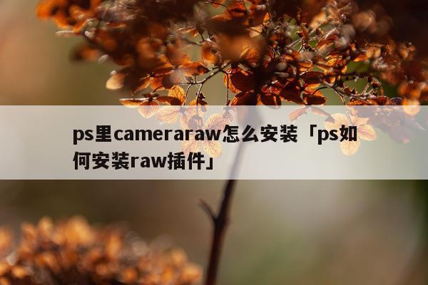 ps里cameraraw怎么安装「ps如何安装raw插件」