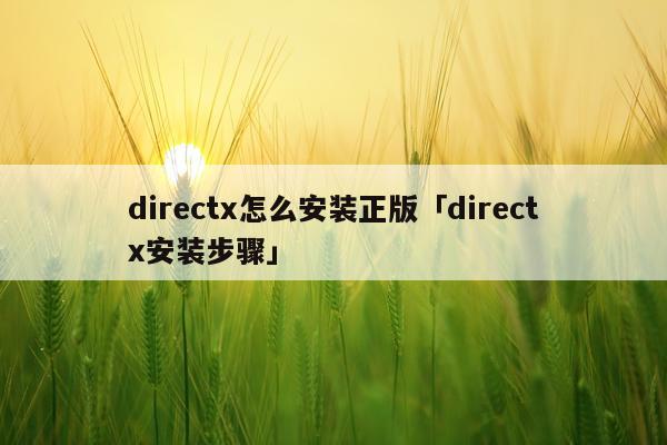 directx怎么安装正版「directx安装步骤」