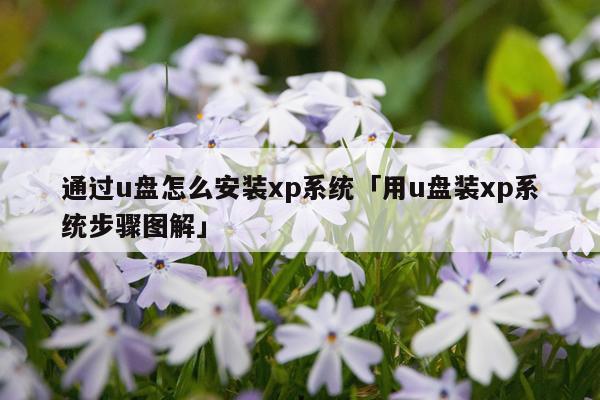 通过u盘怎么安装xp系统「用u盘装xp系统步骤图解」