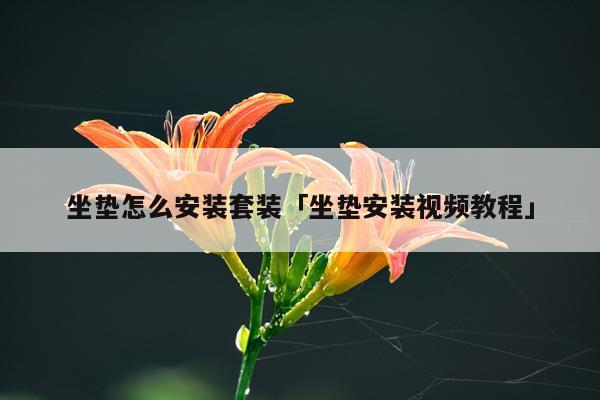 坐垫怎么安装套装「坐垫安装视频教程」