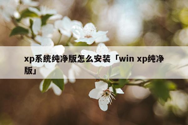 xp系统纯净版怎么安装「win xp纯净版」