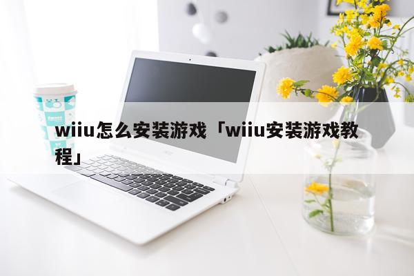 wiiu怎么安装游戏「wiiu安装游戏教程」