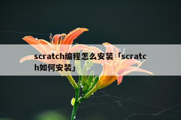 scratch编程怎么安装「scratch如何安装」