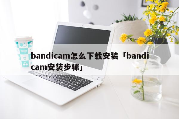 bandicam怎么下载安装「bandicam安装步骤」