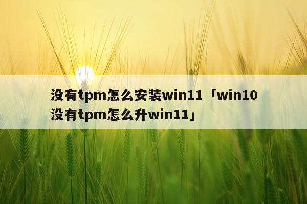 没有tpm怎么安装win11「win10没有tpm怎么升win11」