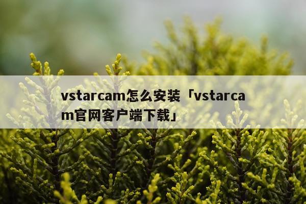 vstarcam怎么安装「vstarcam官网客户端下载」