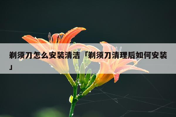 剃须刀怎么安装清洁「剃须刀清理后如何安装」