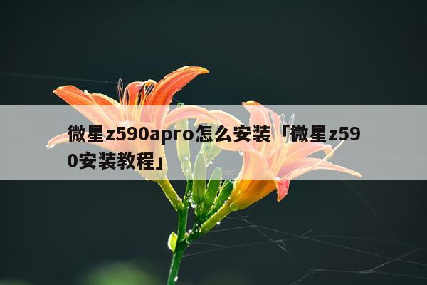微星z590apro怎么安装「微星z590安装教程」