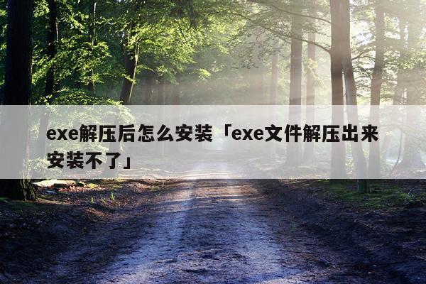 exe解压后怎么安装「exe文件解压出来安装不了」