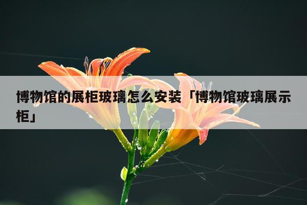 博物馆的展柜玻璃怎么安装「博物馆玻璃展示柜」