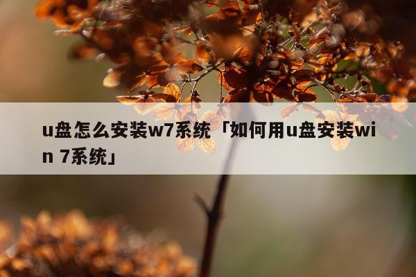 u盘怎么安装w7系统「如何用u盘安装win 7系统」