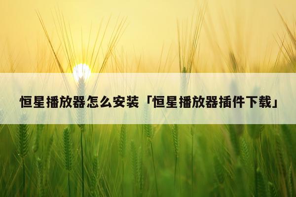 恒星播放器怎么安装「恒星播放器插件下载」