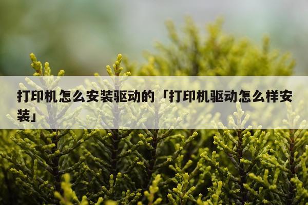 打印机怎么安装驱动的「打印机驱动怎么样安装」