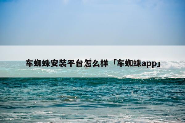 车蜘蛛安装平台怎么样「车蜘蛛app」