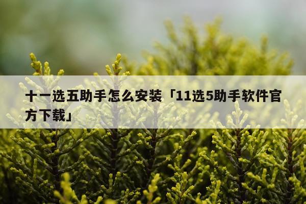十一选五助手怎么安装「11选5助手软件官方下载」