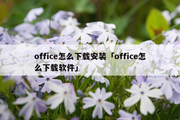 office怎么下载安装「office怎么下载软件」
