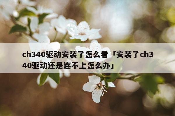 ch340驱动安装了怎么看「安装了ch340驱动还是连不上怎么办」