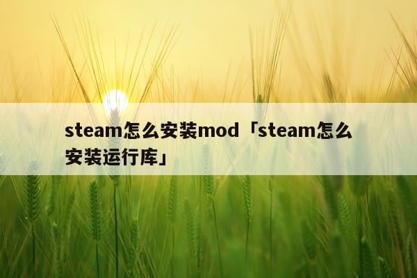 steam怎么安装mod「steam怎么安装运行库」