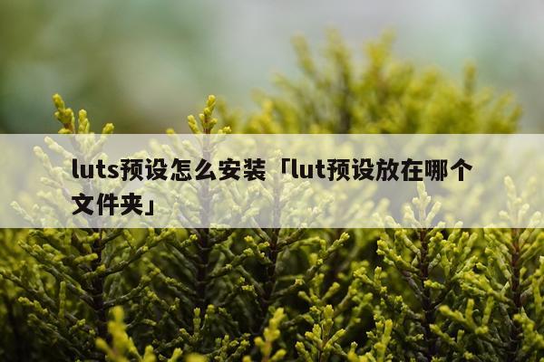 luts预设怎么安装「lut预设放在哪个文件夹」