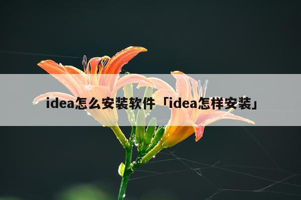idea怎么安装软件「idea怎样安装」