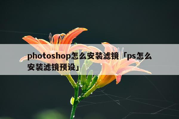 photoshop怎么安装滤镜「ps怎么安装滤镜预设」