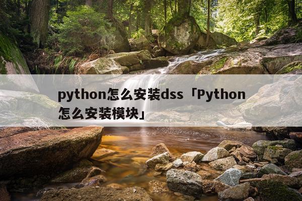 python怎么安装dss「Python怎么安装模块」