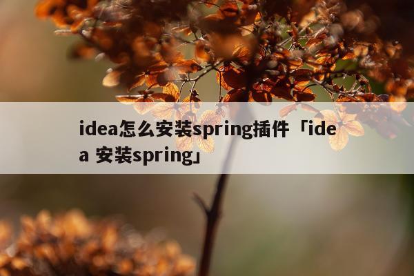 idea怎么安装spring插件「idea 安装spring」