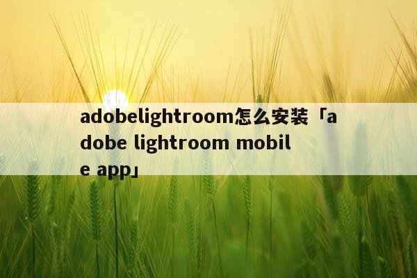 adobelightroom怎么安装「adobe lightroom mobile app」
