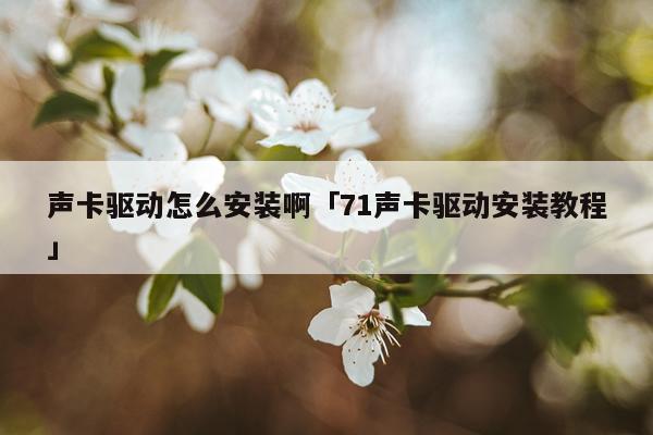声卡驱动怎么安装啊「71声卡驱动安装教程」