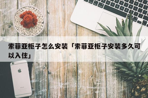 索菲亚柜子怎么安装「索菲亚柜子安装多久可以入住」