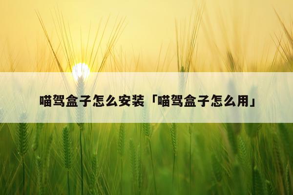 喵驾盒子怎么安装「喵驾盒子怎么用」