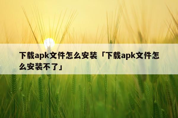 下载apk文件怎么安装「下载apk文件怎么安装不了」