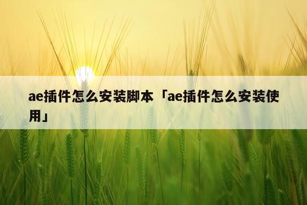 ae插件怎么安装脚本「ae插件怎么安装使用」