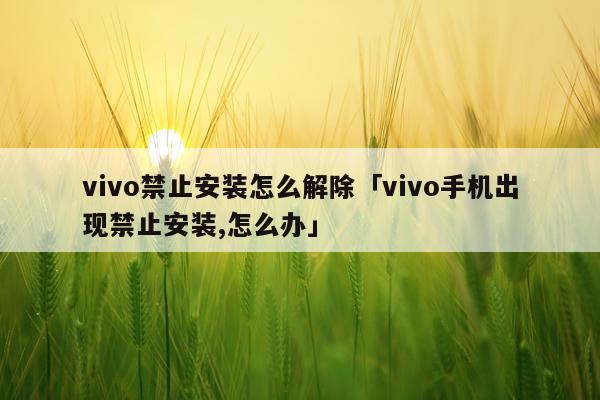 vivo禁止安装怎么解除「vivo手机出现禁止安装,怎么办」