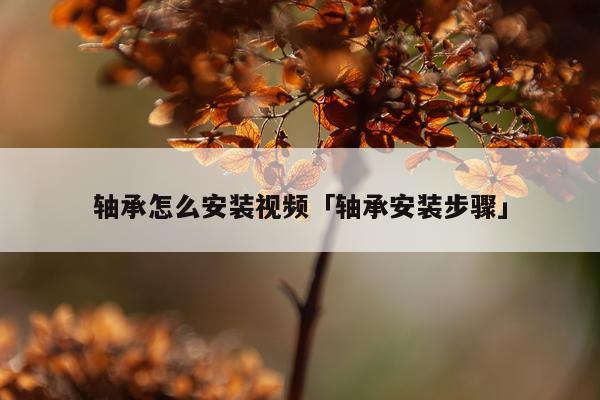 轴承怎么安装视频「轴承安装步骤」