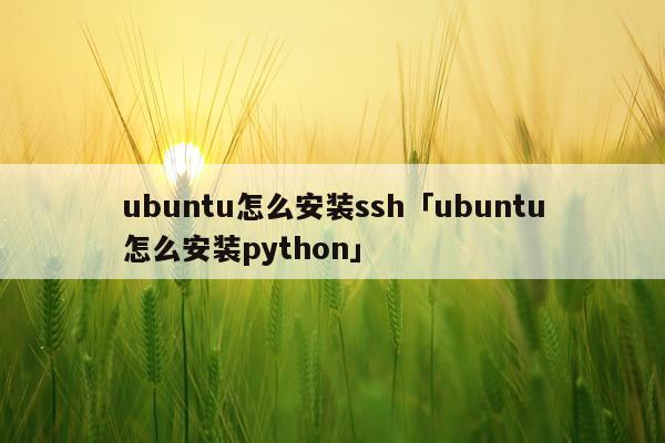 ubuntu怎么安装ssh「ubuntu怎么安装python」