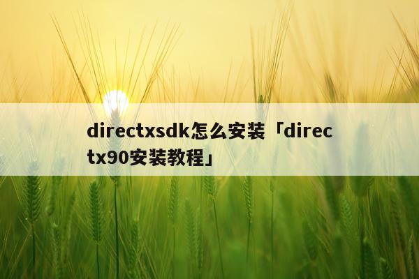 directxsdk怎么安装「directx90安装教程」