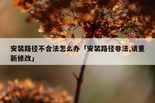 安装路径不合法怎么办「安装路径非法,请重新修改」
