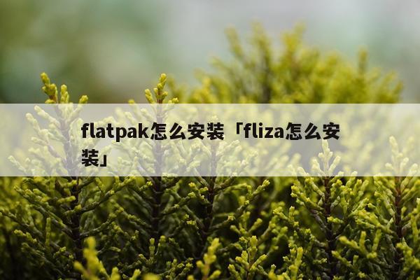 flatpak怎么安装「fliza怎么安装」