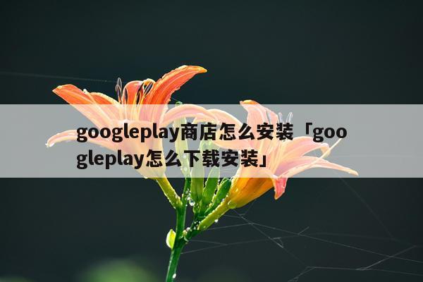 googleplay商店怎么安装「googleplay怎么下载安装」