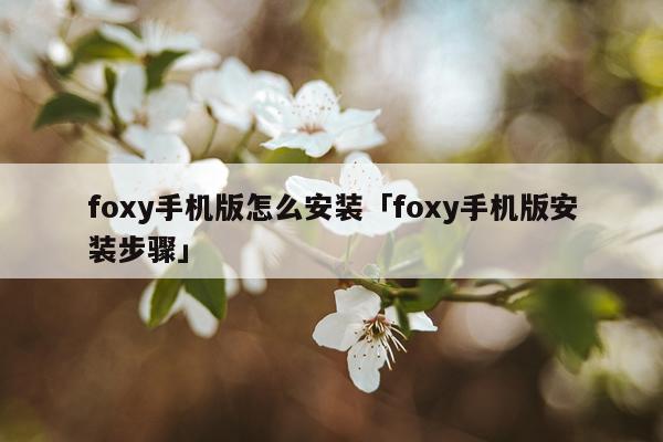 foxy手机版怎么安装「foxy手机版安装步骤」