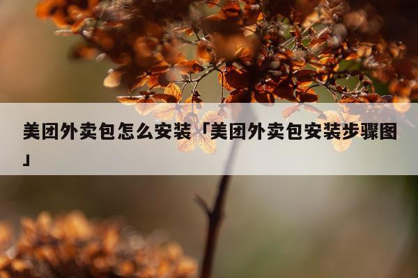 美团外卖包怎么安装「美团外卖包安装步骤图」