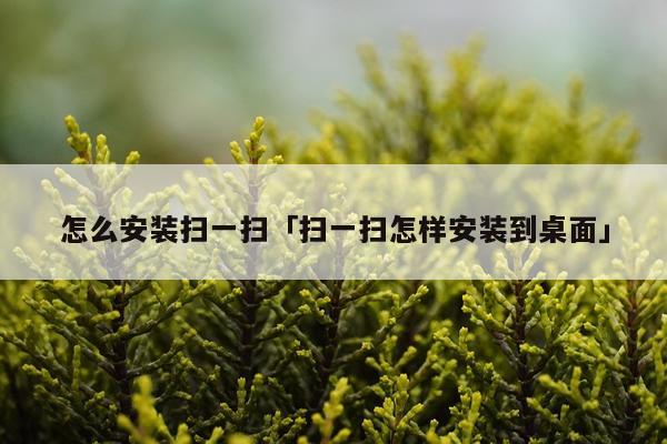 怎么安装扫一扫「扫一扫怎样安装到桌面」