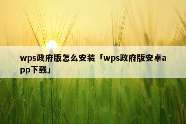 wps政府版怎么安装「wps政府版安卓app下载」