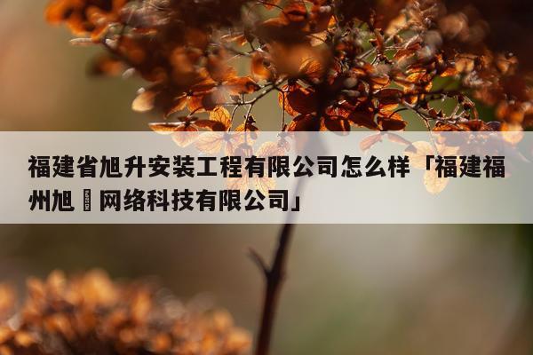 福建省旭升安装工程有限公司怎么样「福建福州旭昇网络科技有限公司」